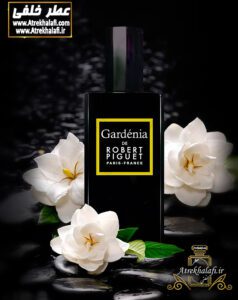 عطر روبر پیگه گاردنیا ظرف عطر خلفی (ظروف عطر-ظرف عطر و ادکلن-ظرف عطر اسپری-ظرف عطر خودکاری-قیمت ظرف عطر رولی-ظرف عطر غلتکی-ظرف عطر جیبی-ظرف عطر کتابی-عطر خلفی-ظرف آلومینیومی عطر-تولیدکننده ظرف عطر-خریدظرف عطر-ظرف عطر گرمی-ظرف عطر عمده-قیمت ظرف پلاستیکی عطر-پخش عمده ظرف عطر-شیشه عطر رولی-کانال فروش شیشه عطر-قیمت جای عطر-جای عطر اسپری-ظروف عطر-عطر-ادکلن-سانس-آرایشی بهداشتی-عطر رولی-ظروف پلاستیکی-فروش عمده و جزِئی -پمپی-آویز ماشین-آر سی آر-عطر خلفی)