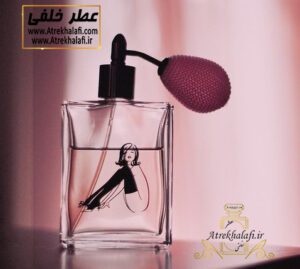 عطر نانادیبری کلاسیک پینک ظرف عطر خلفی (ظروف عطر-ظرف عطر و ادکلن-ظرف عطر اسپری-ظرف عطر خودکاری-قیمت ظرف عطر رولی-ظرف عطر غلتکی-ظرف عطر جیبی-ظرف عطر کتابی-عطر خلفی-ظرف آلومینیومی عطر-تولیدکننده ظرف عطر-خریدظرف عطر-ظرف عطر گرمی-ظرف عطر عمده-قیمت ظرف پلاستیکی عطر-پخش عمده ظرف عطر-شیشه عطر رولی-کانال فروش شیشه عطر-قیمت جای عطر-جای عطر اسپری-ظروف عطر-عطر-ادکلن-سانس-آرایشی بهداشتی-عطر رولی-ظروف پلاستیکی-فروش عمده و جزِئی -پمپی-آویز ماشین-آر سی آر-عطر خلفی)