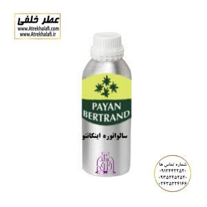 سالواتور اینکانتو ویاج وی آی پی نمایندگی خرید فروش پخش عمده اسانس عطر خالص،ادکلن اصل نماینده شرکت عطر تکنیکو فلور-پایان-بل-لوزی-پارفاروم GRC-Parfarome-TechnicoFlor-Luzi-Payan-Bell گرم کیلو نمایندگی پخش عمده عطر ادکلن خلفی و نقش کالا نماینده شرکت پایان لوزی بل تکنیکوفلور اسنس پرفیوم داپر پارفاروم پرفیوم پلاس ژیوادان جیوادان آرجویل دلار شارابوت عطر خلفی نقش کالا نمایندگی شرکت عطر تکنیکو فلور perfume technico flor نماینده فروش پخش عمده عطر ادکلن و اسانس های شرکتی تکنیکوفلور اصل اورجینال مردانه زنانه نمایندگی خرید فروش پخش عمده اسانس عطر خالص ادکلن اصل نماینده شرکت عطر تکنیکو فلور پایان بل لوزی پارفاروم GRC - Parfarome TechnicoFlor - Luzi - Payan - Bell گرم کیلو تکنیکوفلور داپر پرفیوم پلاس دلار پورو شارابوت ژیوادان جیوادان عطر خلفی نقش کالا زنجان ابهر www.atrekhalafi.ir - atrekhalafi - atre khalafi - atr - com - ir - خرید ادکلن اصل فرق عطر و ادکلن عطر اورجینال ارزان عطر گرمی قیمت ادکلن زنانه مردانه بهترین عطر و ادکلن پخش بو ماندگاری بیشترین پخش بو_اصل و فیک قیمت تشخیص ادکلن اورجینال عطر خلفی ترکیب عطر عطر معروف بهترین رایحه ها اسپرت انواع ادکلن پرفروش ترین خوشبو نت های عطر قیمت ادکلن اصل با کیفیت زنانه مردانه شرکتی قیمت نحوه تشخیص اصل اورجینال بهترین پخش عمده نمایندگی عطر خلفی نقش کالا گرمی مشهور نماینده عطر ادکلن نقش کالا پخش عطر نماینده نمایندگی پخش عمده naghshe kala_ perfume